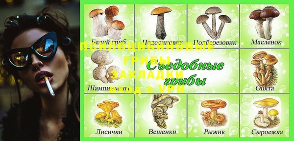 винт Нягань
