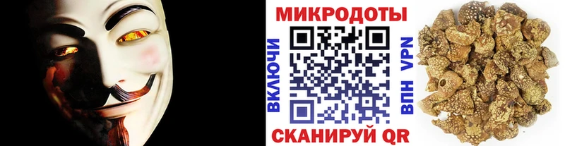 Галлюциногенные грибы Psilocybine cubensis  как найти закладки  это клад  Конаково 